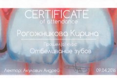 sertifikat_rogoznikova_1